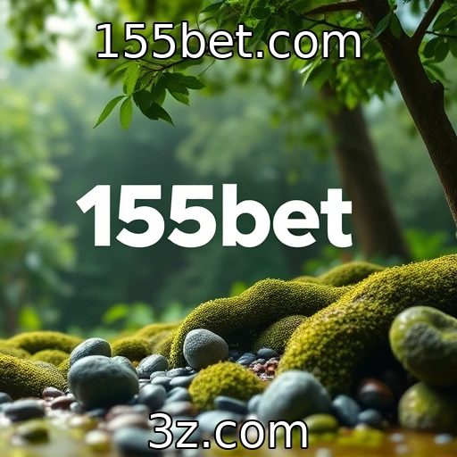 O papel da sustentabilidade nas práticas de desenvolvimento